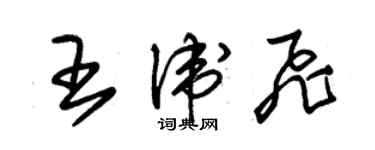 朱錫榮王衛飛草書個性簽名怎么寫