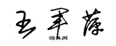 朱錫榮王軍萍草書個性簽名怎么寫