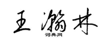 梁錦英王瀚林草書個性簽名怎么寫