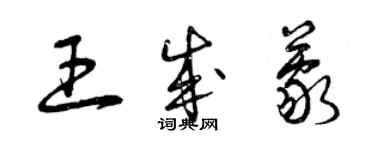 曾慶福王成蒙草書個性簽名怎么寫