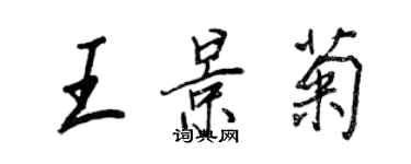 王正良王景菊行書個性簽名怎么寫