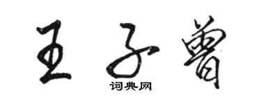 駱恆光王子曾行書個性簽名怎么寫