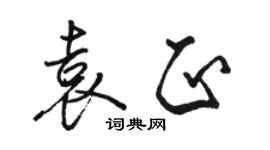 駱恆光袁正行書個性簽名怎么寫