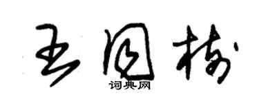 朱錫榮王同樹草書個性簽名怎么寫