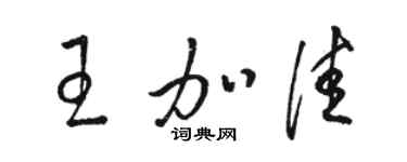 駱恆光王加佳草書個性簽名怎么寫