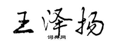 曾慶福王澤揚行書個性簽名怎么寫