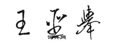 駱恆光王聖舉草書個性簽名怎么寫