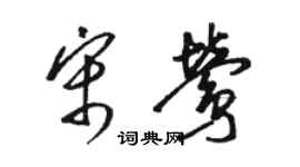 駱恆光宋鶯草書個性簽名怎么寫