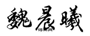 胡問遂魏晨曦行書個性簽名怎么寫
