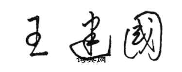 駱恆光王建國草書個性簽名怎么寫