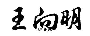胡問遂王向明行書個性簽名怎么寫
