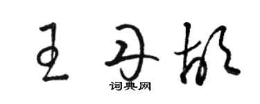 駱恆光王丹胡草書個性簽名怎么寫
