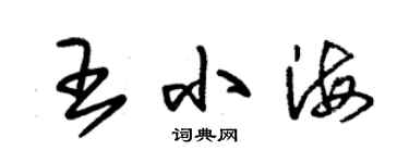 朱錫榮王小海草書個性簽名怎么寫