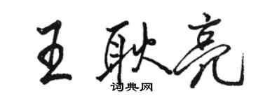 駱恆光王耿亮行書個性簽名怎么寫