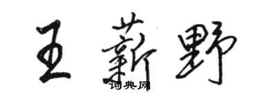 駱恆光王薪野行書個性簽名怎么寫