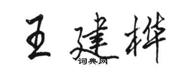 駱恆光王建樺行書個性簽名怎么寫