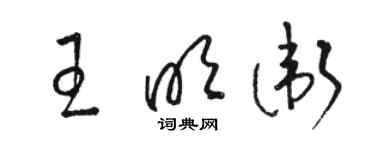 駱恆光王明衛草書個性簽名怎么寫