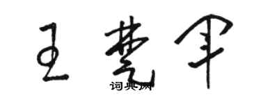 駱恆光王楚軍草書個性簽名怎么寫