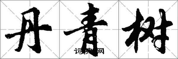 胡問遂丹青樹行書怎么寫