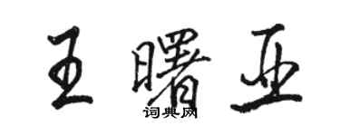 駱恆光王曙亞行書個性簽名怎么寫