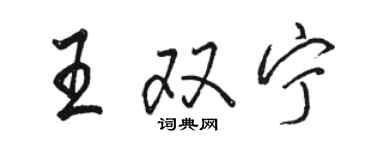 駱恆光王雙寧行書個性簽名怎么寫