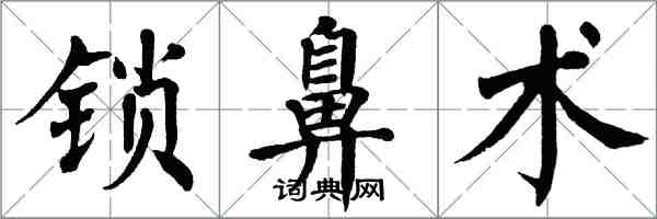 翁闓運鎖鼻術楷書怎么寫