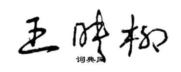 曾慶福王映柳草書個性簽名怎么寫