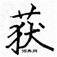 駱恆光寫的硬筆楷書獲