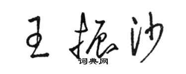 駱恆光王振沙草書個性簽名怎么寫