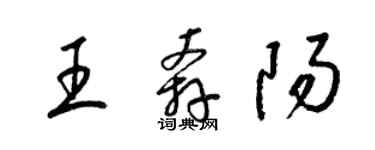 梁錦英王奔陽草書個性簽名怎么寫