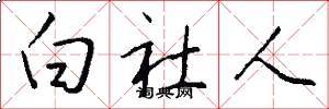 白社人怎么寫好看
