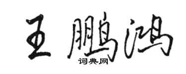 駱恆光王鵬鴻行書個性簽名怎么寫