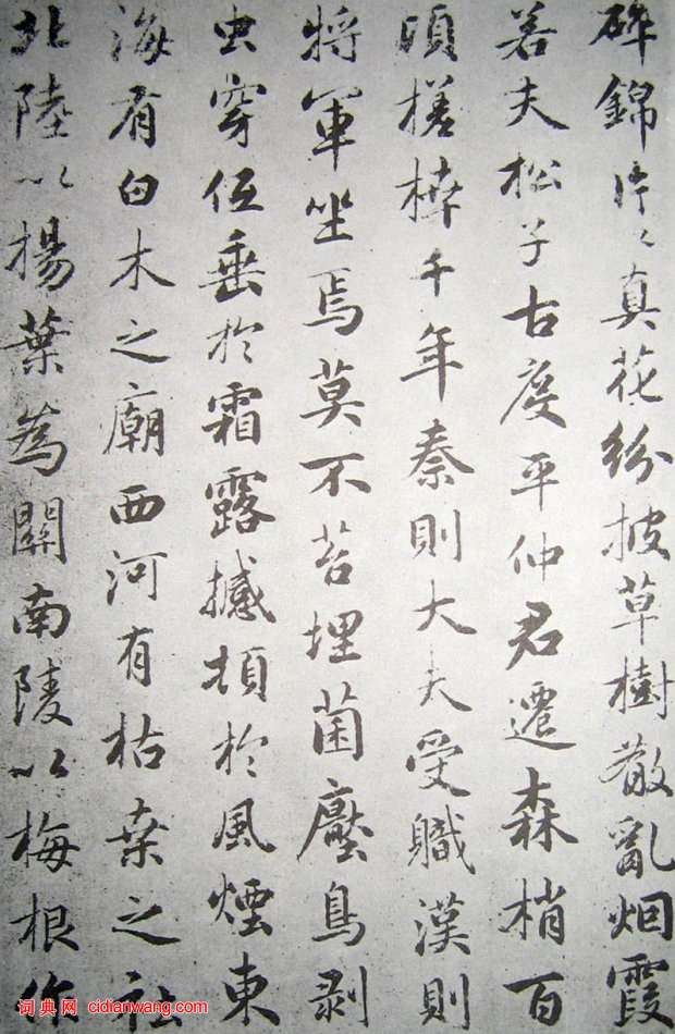 趙孟頫行書臨褚遂良《枯樹賦》