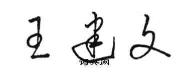 駱恆光王建文草書個性簽名怎么寫