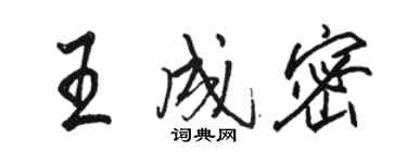 駱恆光王成密行書個性簽名怎么寫