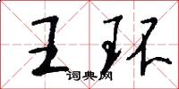王環怎么寫好看