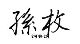 王正良孫枚行書個性簽名怎么寫