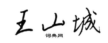 王正良王山城行書個性簽名怎么寫