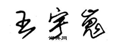 朱錫榮王宇嵬草書個性簽名怎么寫