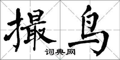 翁闓運撮鳥楷書怎么寫