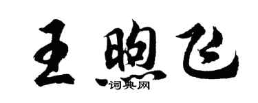 胡問遂王煦飛行書個性簽名怎么寫