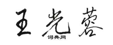 駱恆光王光蓉行書個性簽名怎么寫