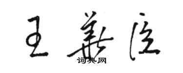 駱恆光王華臣草書個性簽名怎么寫