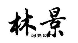 胡問遂林景行書個性簽名怎么寫