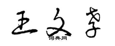 曾慶福王文孝草書個性簽名怎么寫