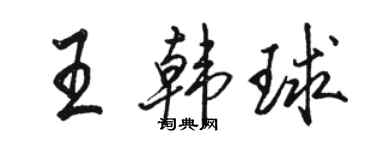 駱恆光王韓球行書個性簽名怎么寫