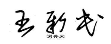 朱錫榮王新民草書個性簽名怎么寫