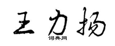 曾慶福王力揚行書個性簽名怎么寫