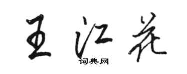 駱恆光王江花行書個性簽名怎么寫