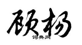 胡問遂顧楊行書個性簽名怎么寫